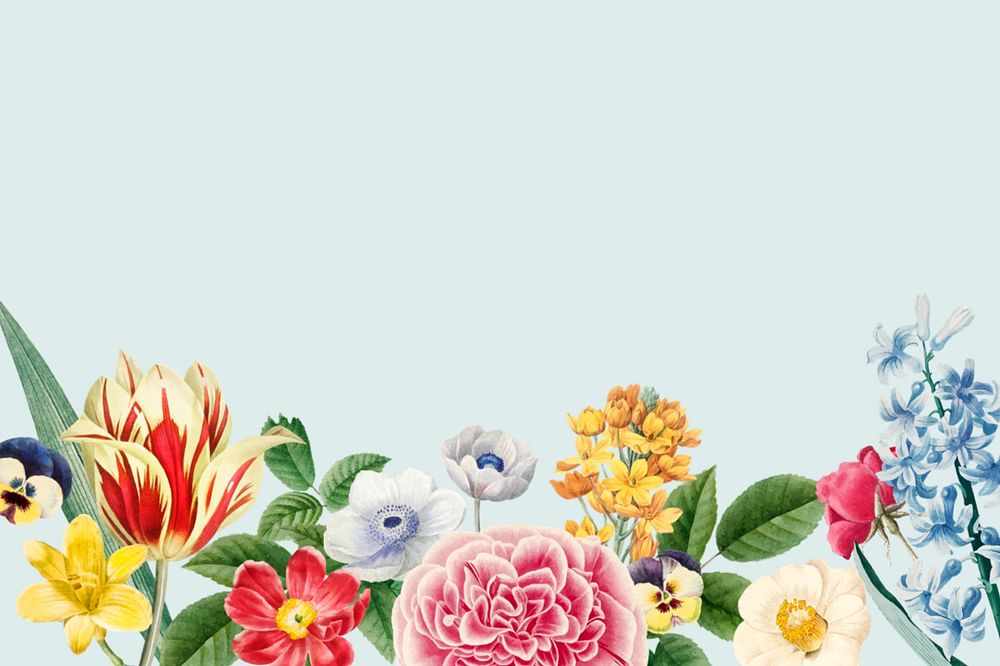 Editable colorful flower border background, botanical design