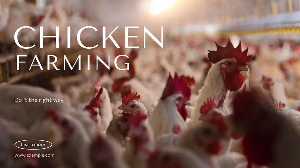 Chicken farming blog banner template, editable design