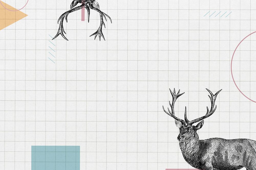 Off-white grid background, editable stag deer border