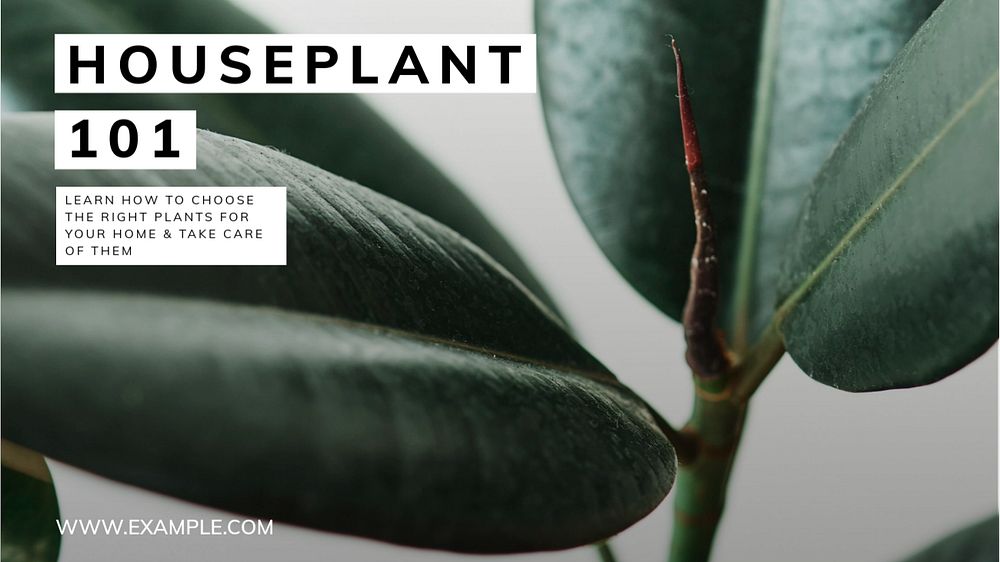 Houseplant blog banner template, editable text