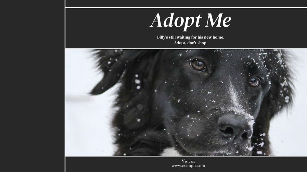 Adopt don't shop  blog banner template, editable text