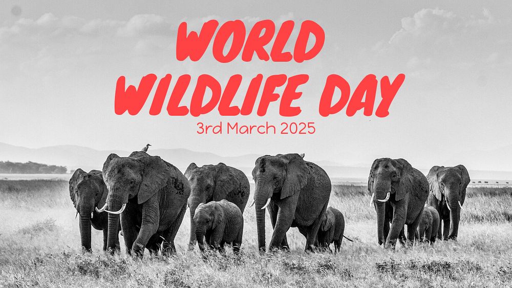 World wildlife day