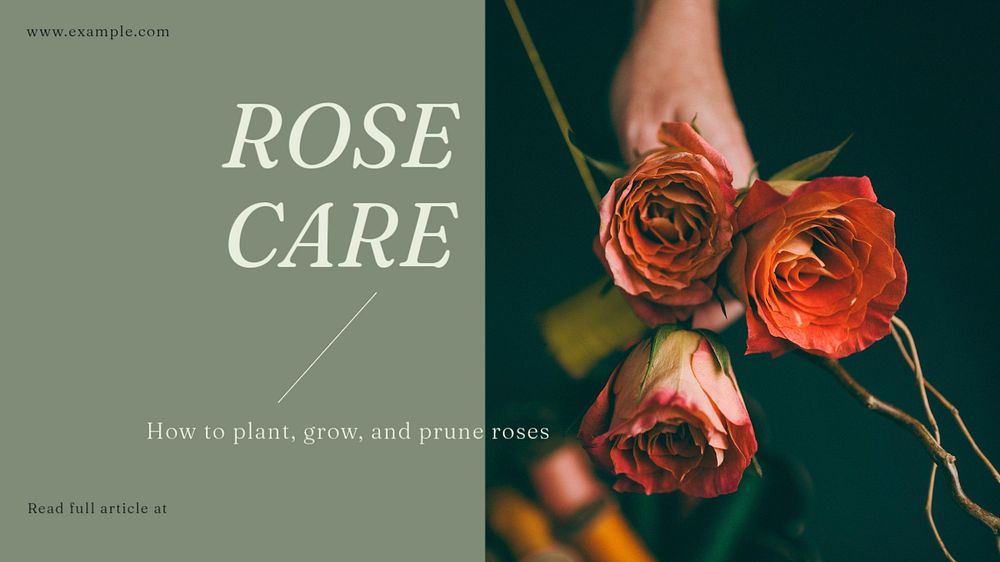 Rose care  blog banner template, editable text