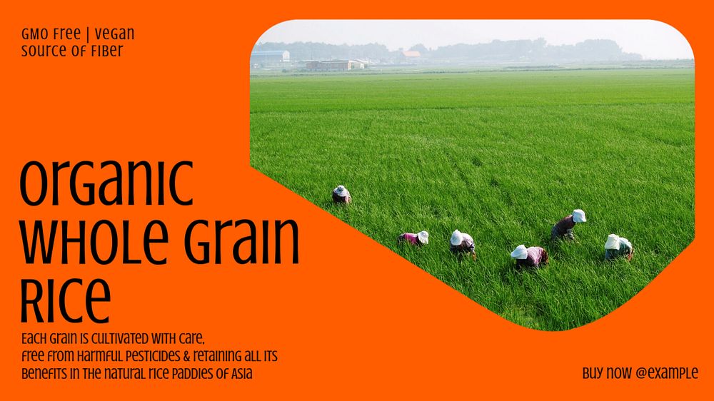 Organic whole grain blog banner template, editable text