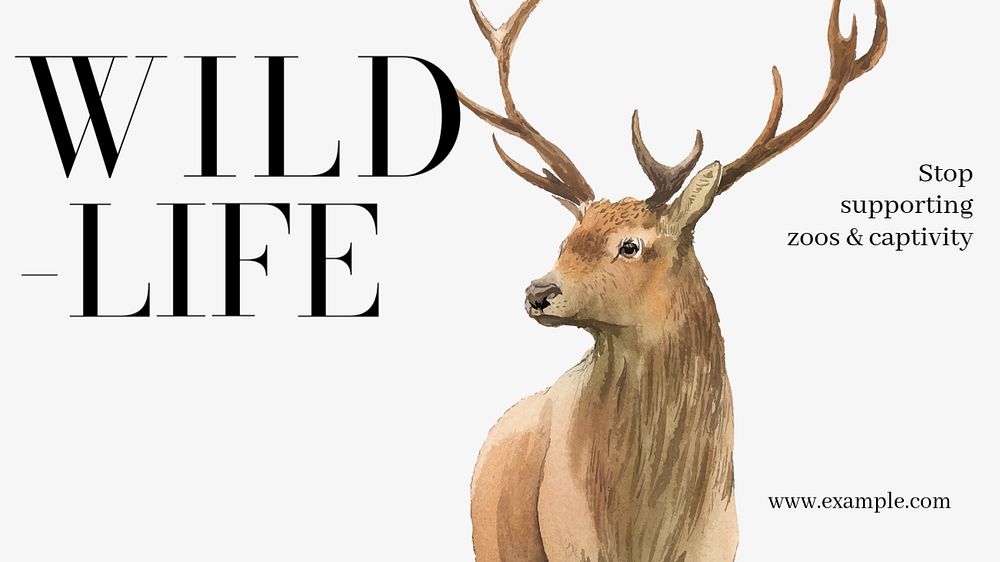 Wildlife  blog banner template, editable text