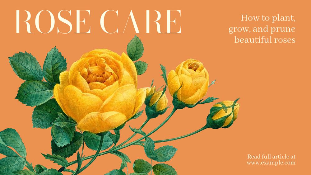 Rose care  blog banner template, editable text