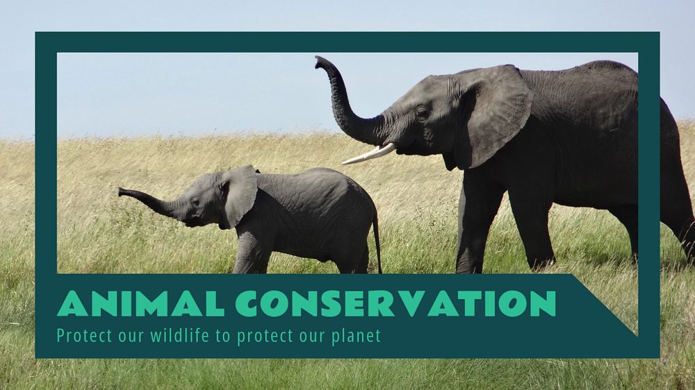 Animal conservation  blog banner template, editable text