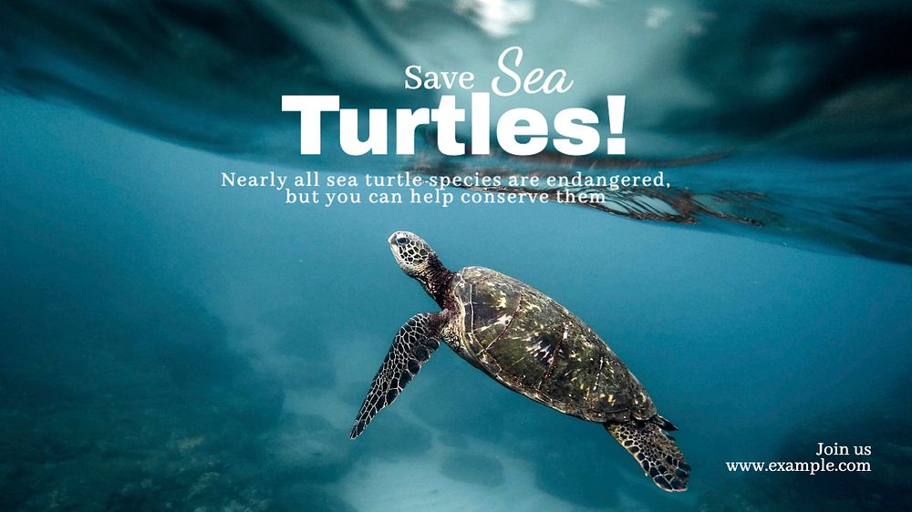 Save sea turtles blog banner template, editable text