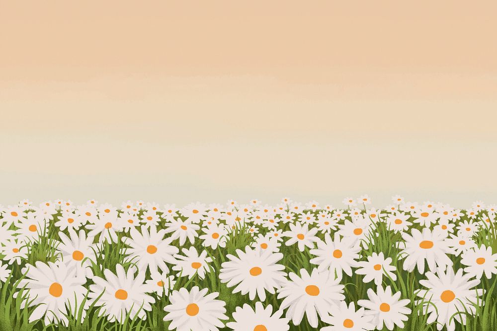 Editable daisy field, painting illustration background