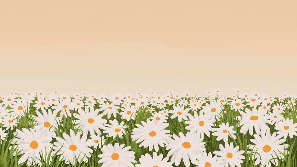 Editable daisy  field illustration desktop wallpaper