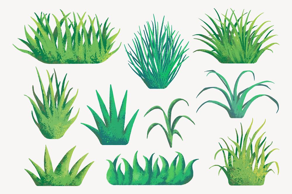 Editable grass nature set illustration, painting illustration