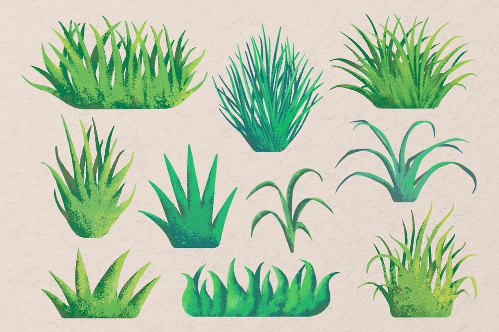 Editable grass  set illustration, painting texture