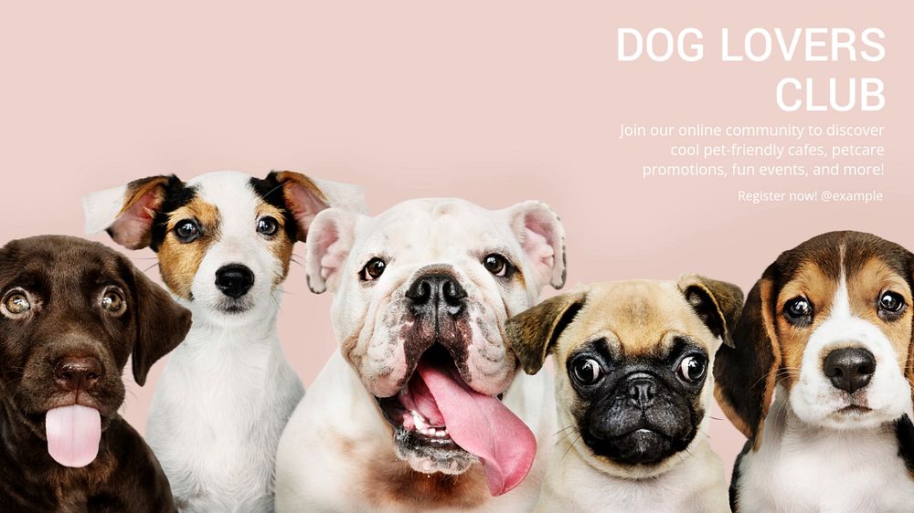 Dog lovers club blog banner template, editable text