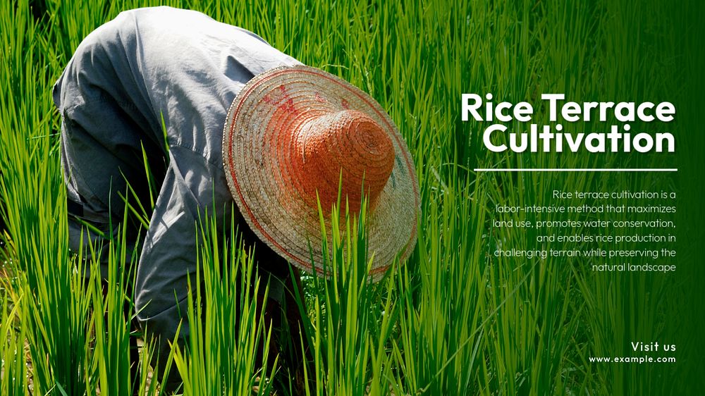 Rice terrace blog banner template, editable text