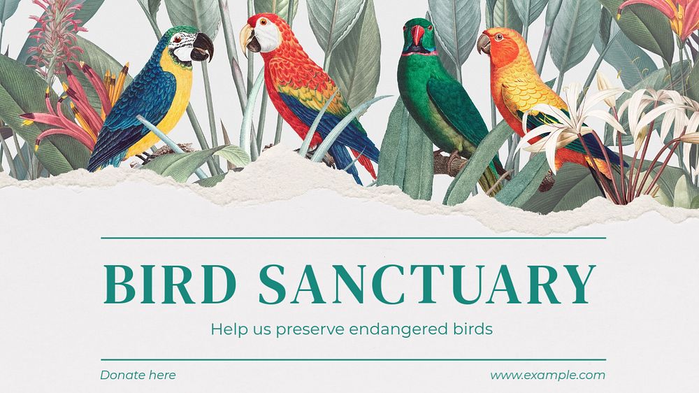 Bird sanctuary  blog banner template, editable text