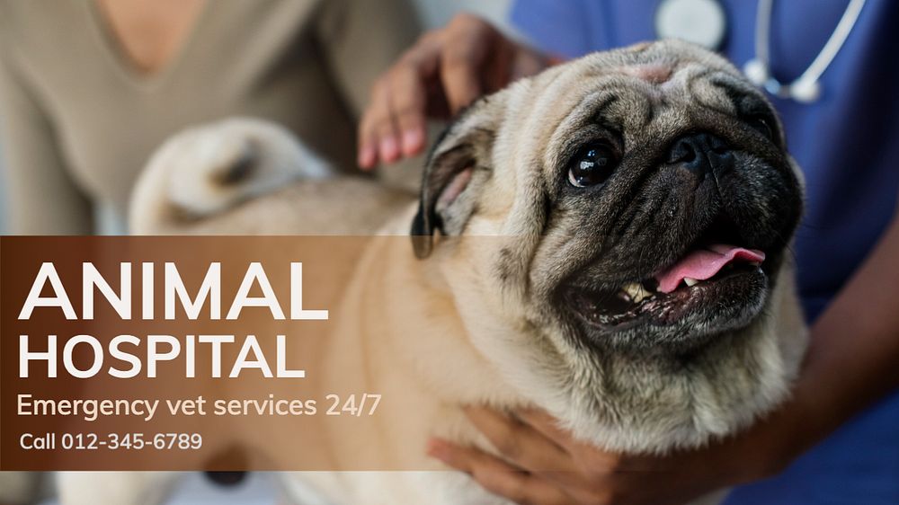 Animal hospital  blog banner template, editable text