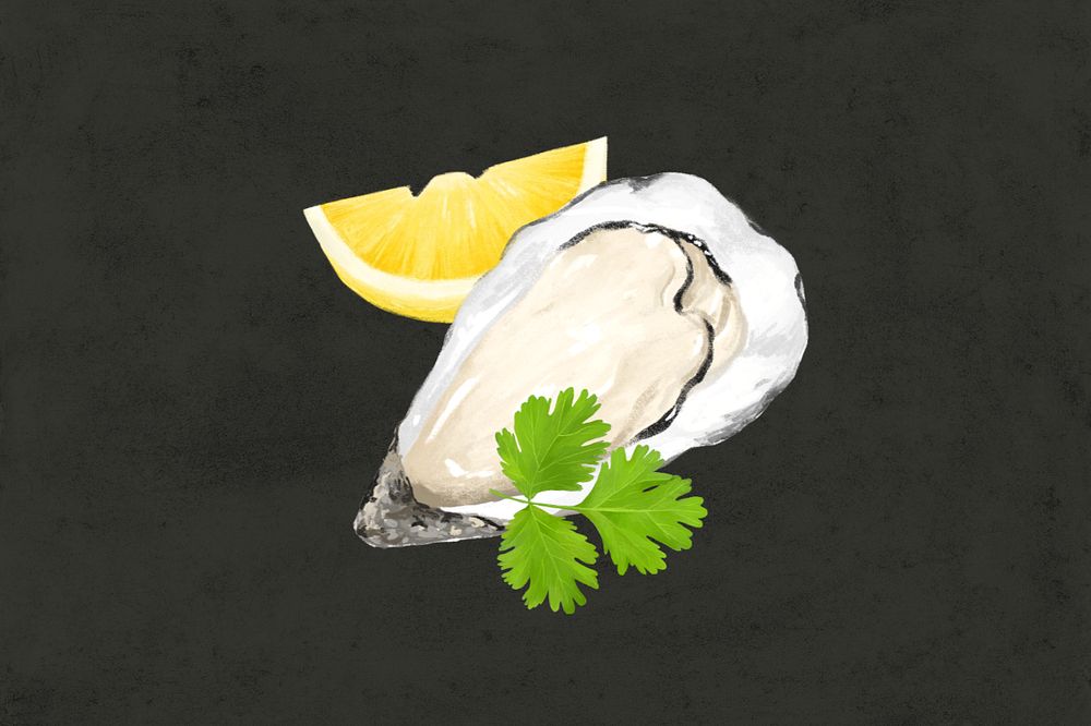 Fresh oyster, seafood illustration, editable design