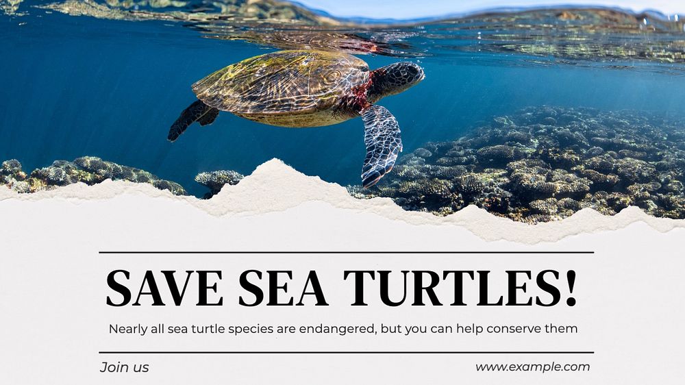 Save sea turtles  blog banner template, editable text