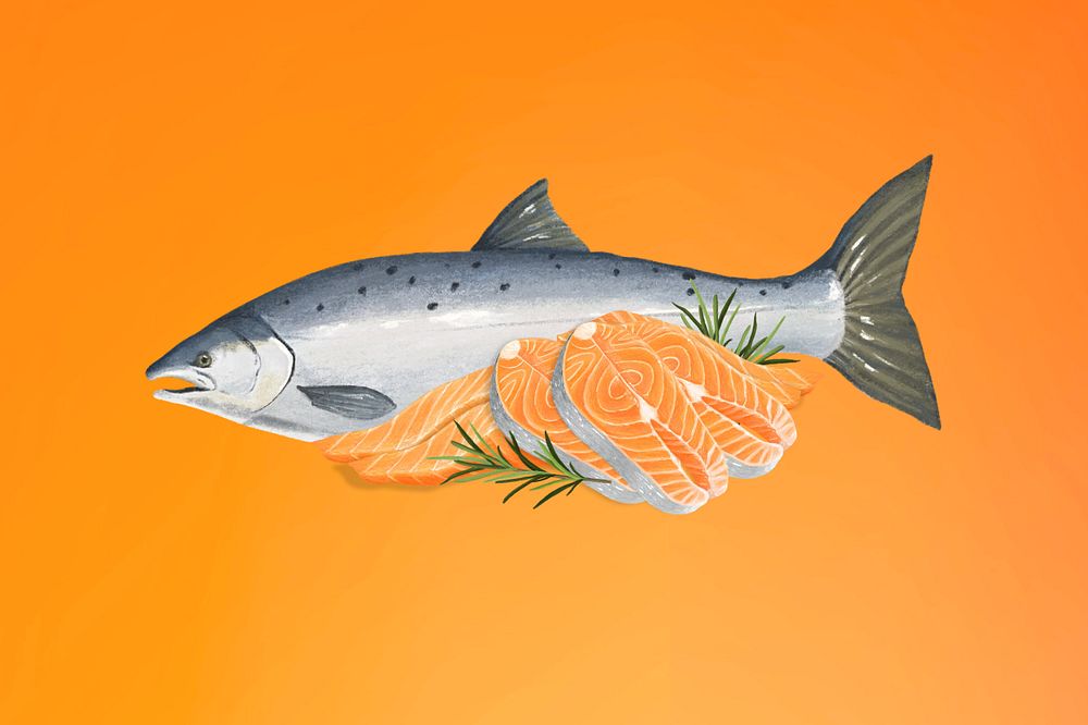 Salmon sashimi fish, seafood illustration, editable design