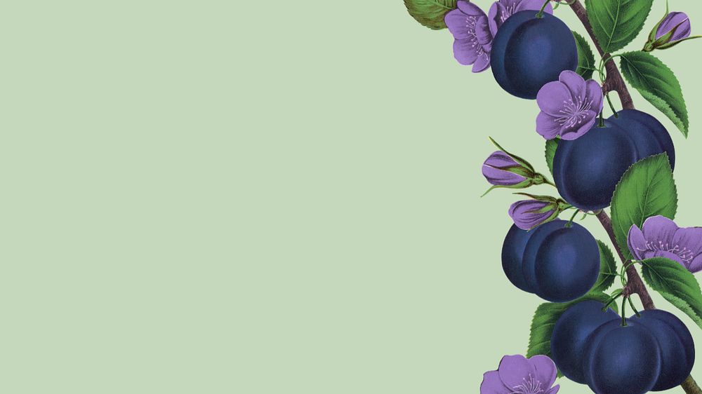 Prune border, desktop wallpaper, editable design