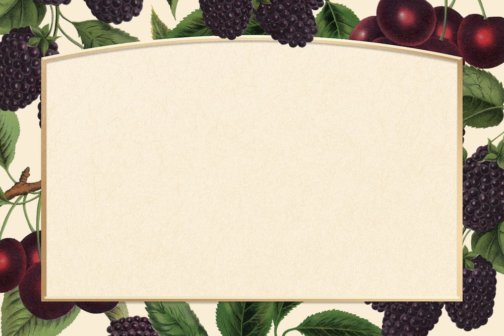 Blackberry and cherry frame, vintage illustration, editable design