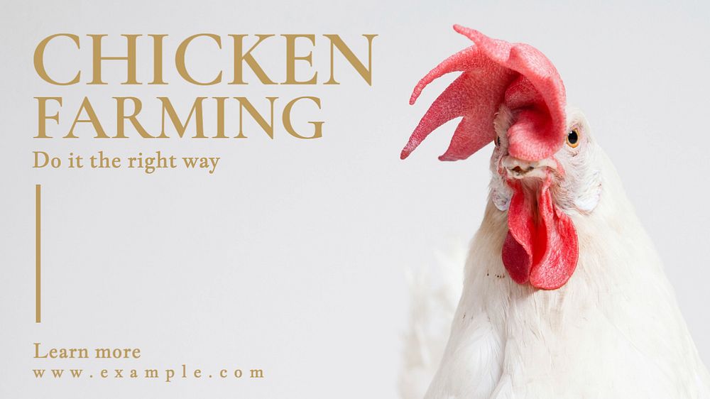 Chicken farming blog banner template, | Premium Editable Template ...