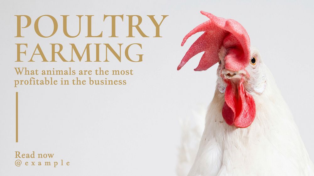 Poultry farming blog banner template, editable design