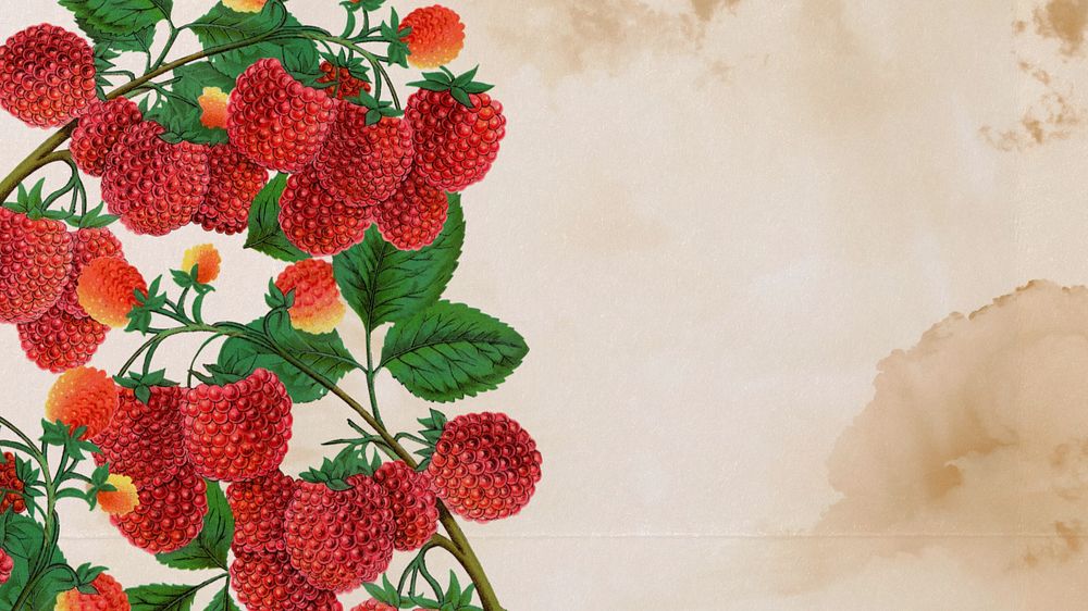 Raspberry border desktop wallpaper, editable design