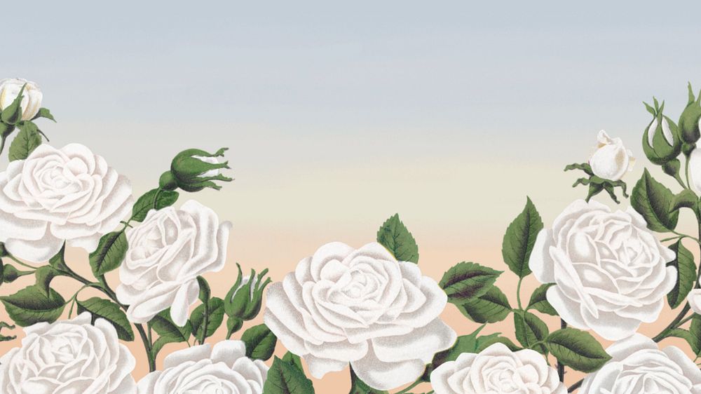 White rose border desktop wallpaper, editable design