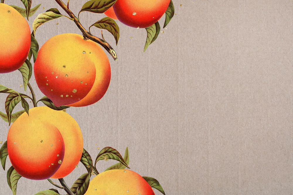 Apricot border, vintage illustration, editable design