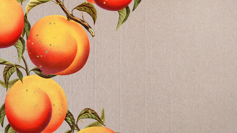 Apricot border desktop wallpaper, editable design