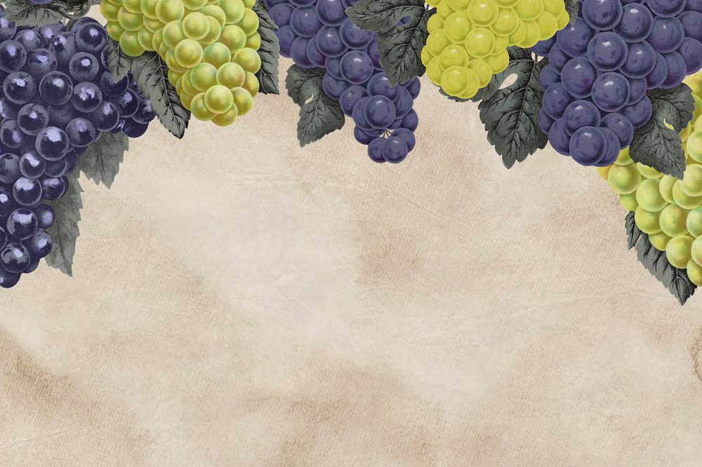 Grape border, vintage illustration, editable design