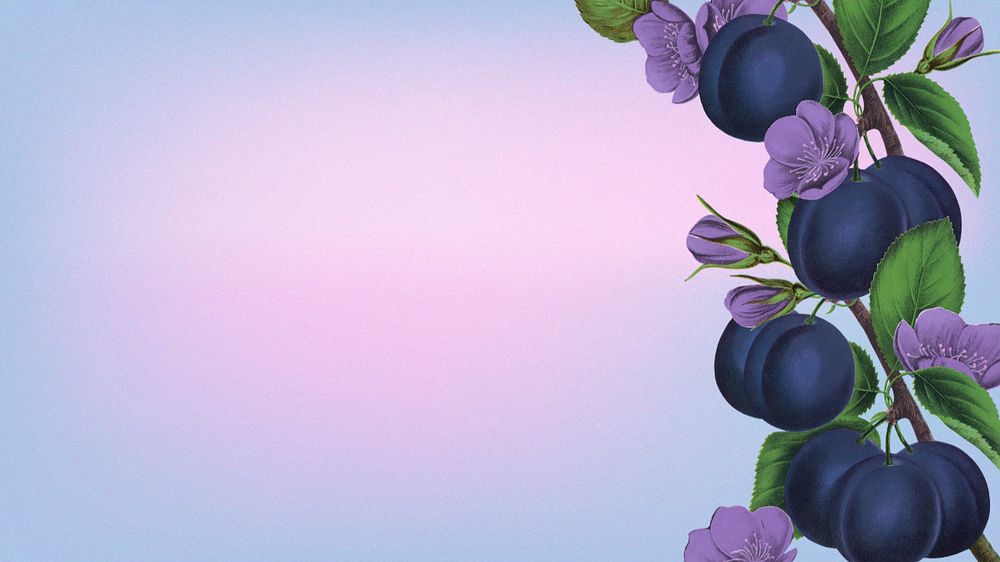 Prune border, desktop wallpaper, editable design