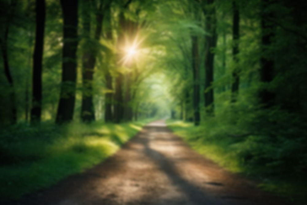 Editable blurred green forest backdrop