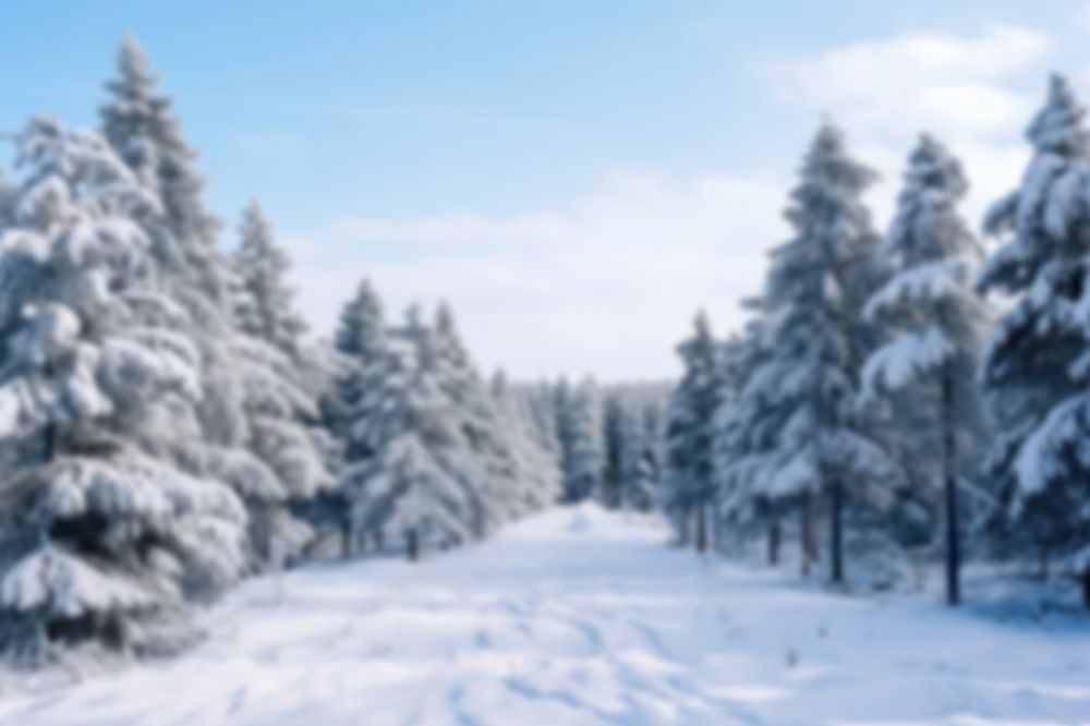 Editable blurred snowy pine forest backdrop