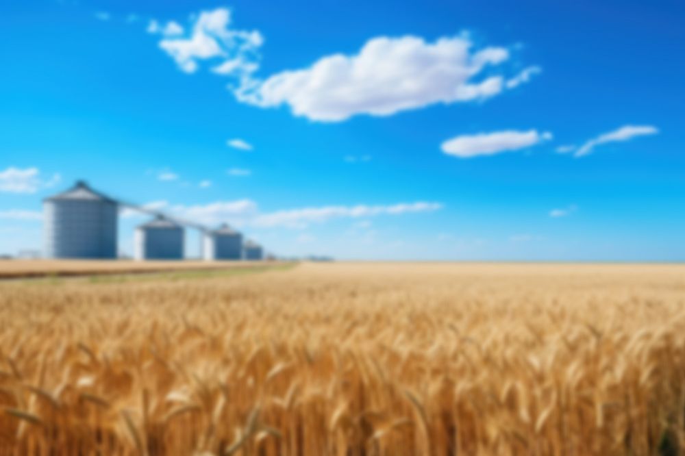 Editable blurred agriculture wheat farm backdrop