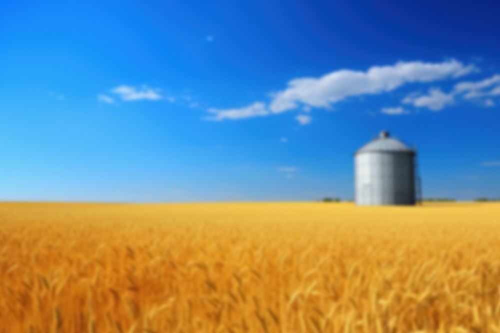 Editable blurred agriculture wheat farm backdrop