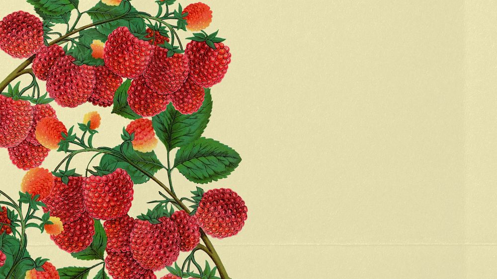 Raspberry border desktop wallpaper, editable design