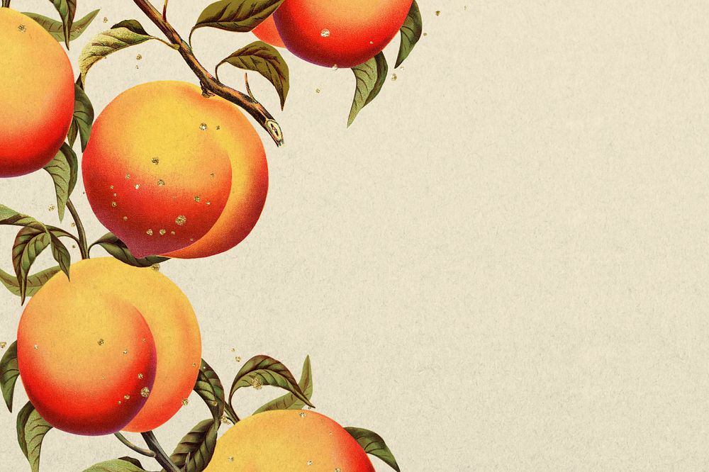 Apricot border, vintage illustration, editable design