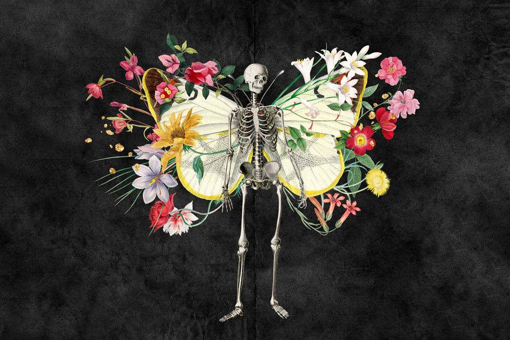 Afterlife botanical illustration editable background, skeleton collage art, remixed media
