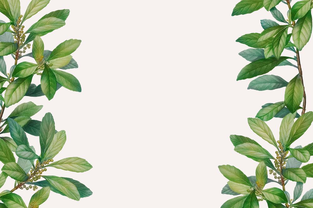 Editable leaf border beige background design