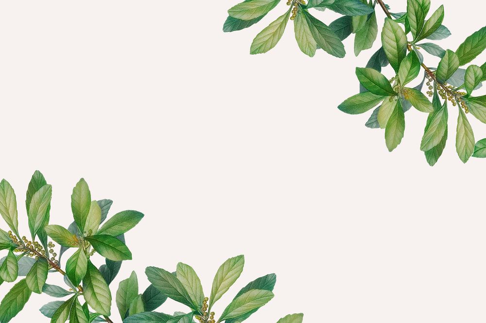 Green leaf border beige background, editable design