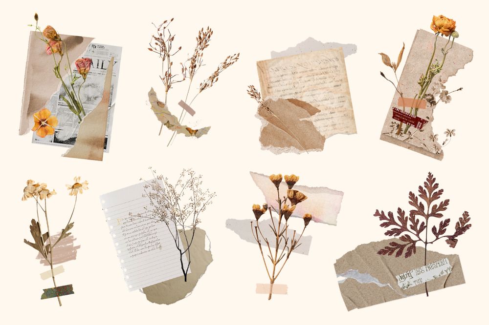 Aesthetic torn paper collage flower collection, editable design