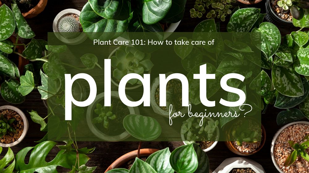 Plants guide blog banner template, editable design