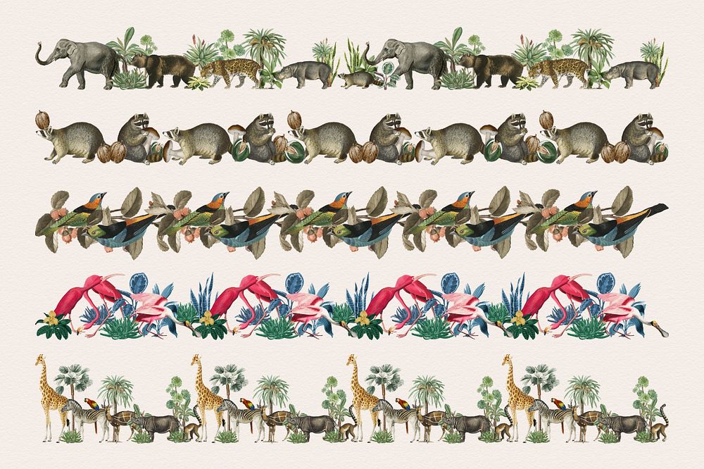 Exotic animal brush pattern, editable vintage wildlife divider set