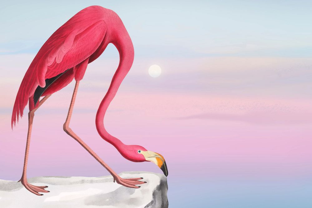 Aesthetic flamingo background, pink sky design