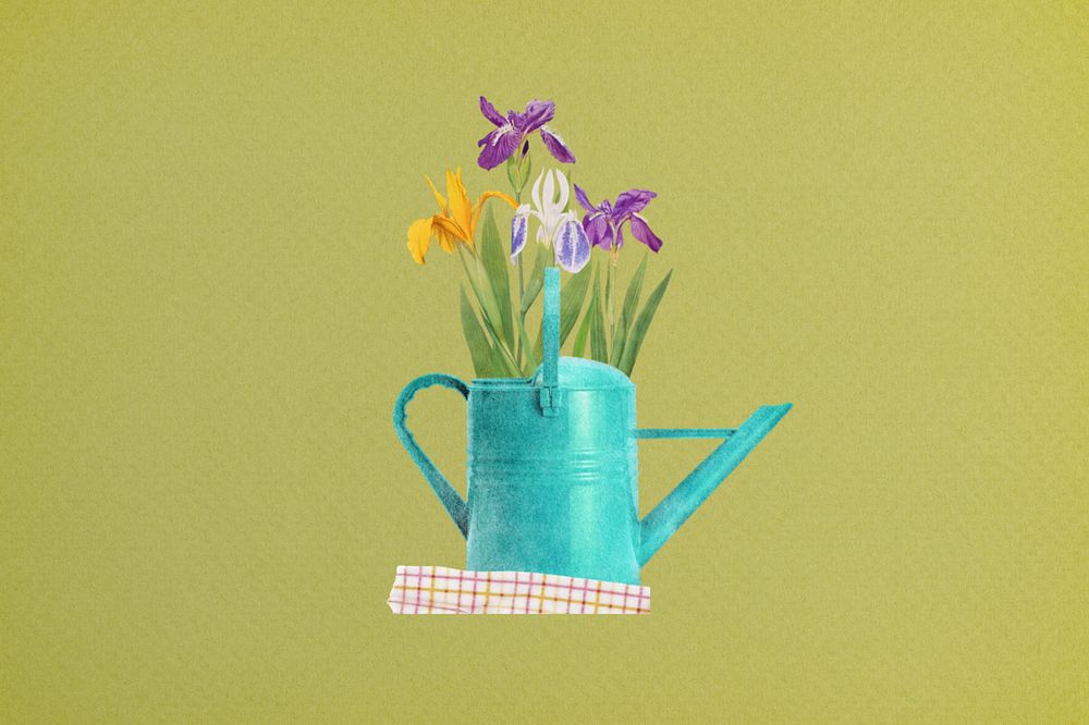 Spring flower background, editable iris in teal watering can collage element remix design