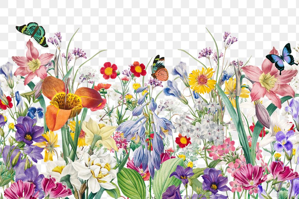 Colorful spring flowers png border, editable design