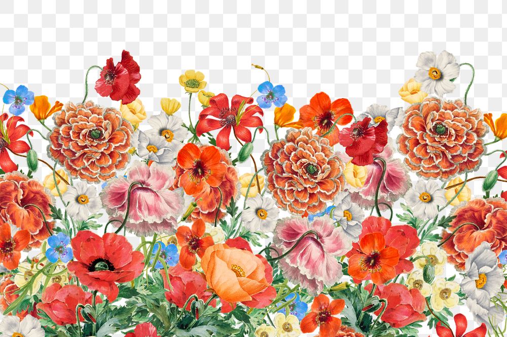 Colorful Summer flowers png border, editable design