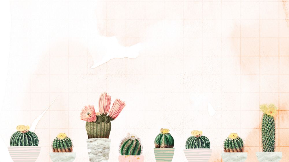 Cactus illustration desktop wallpaper, editable design